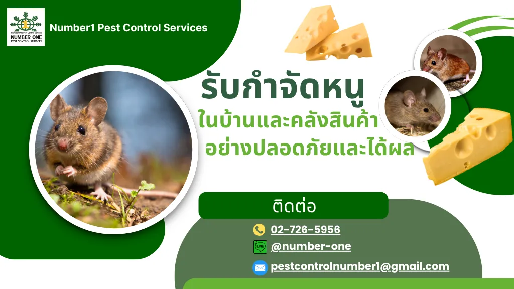 กำจัดหนู